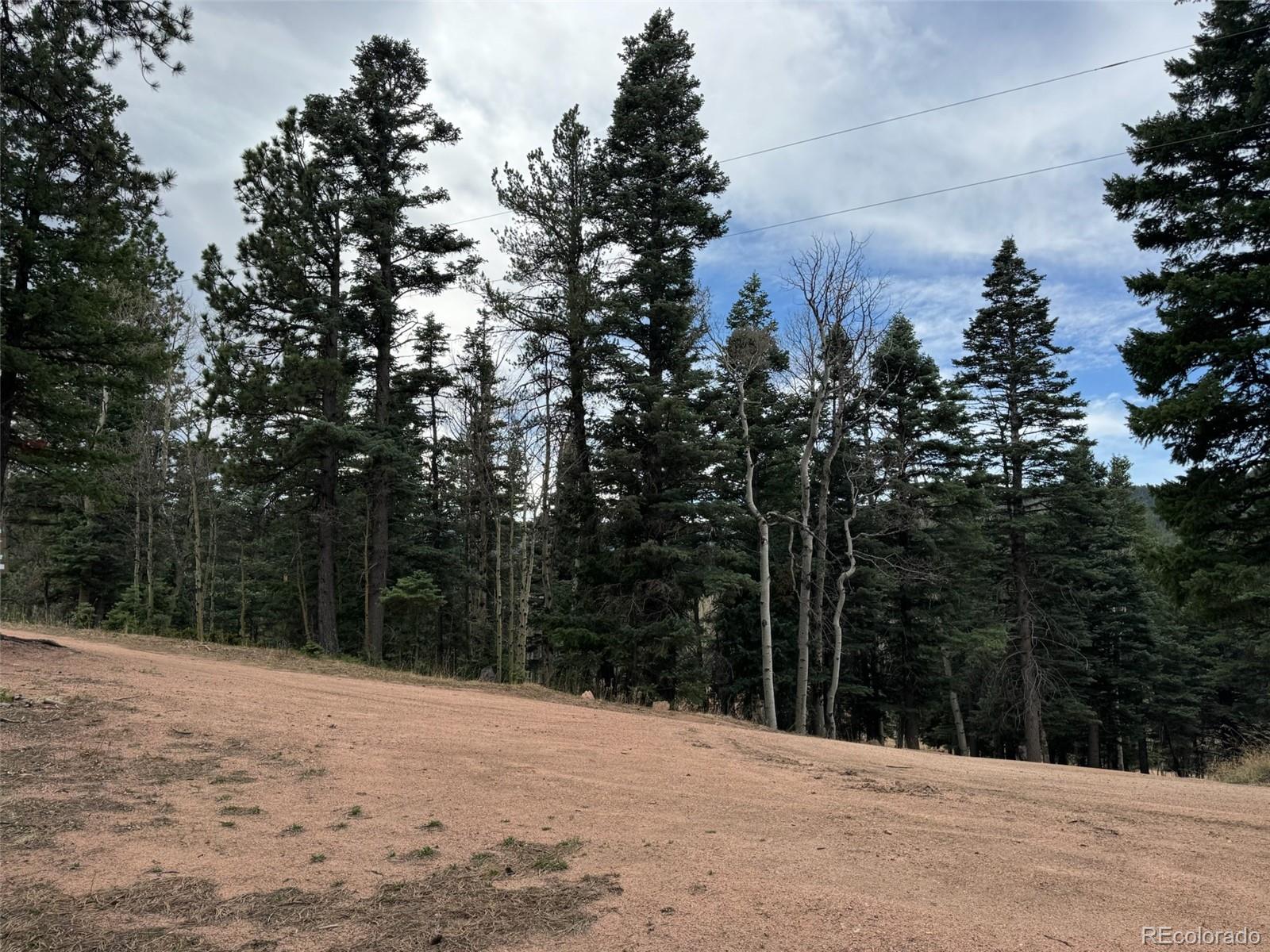 132 Aspen Acres Rye CO 81252