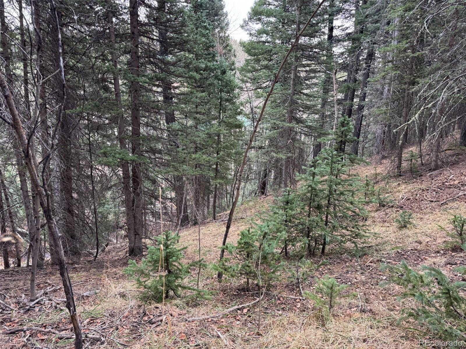 132 Aspen Acres Rye CO 81252