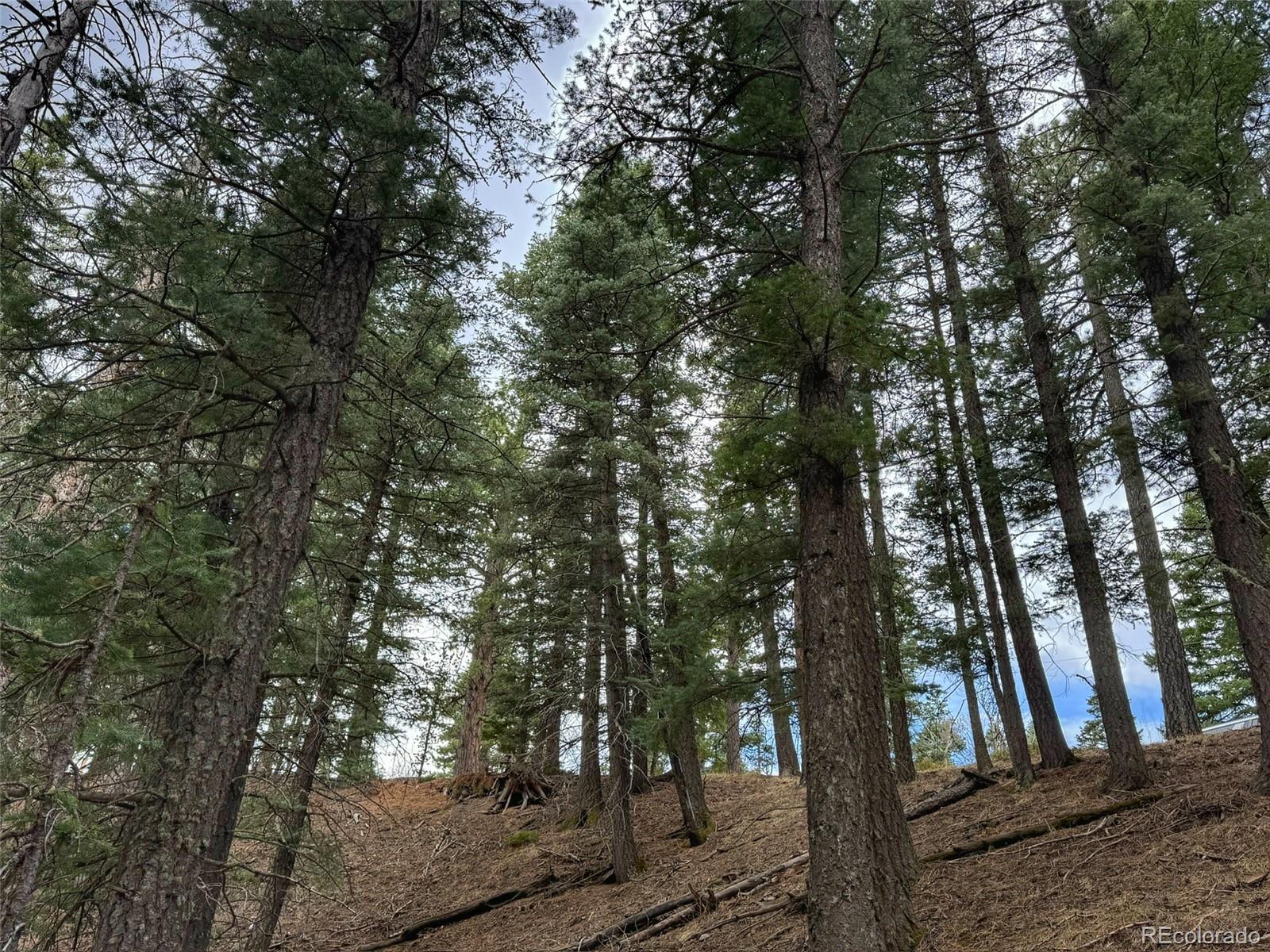 132 Aspen Acres Rye CO 81252
