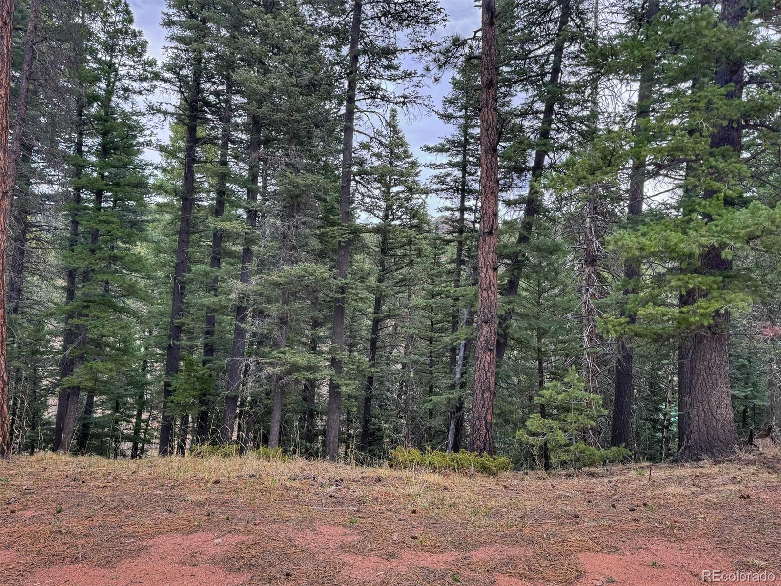 132 Aspen Acres Rye CO 81252