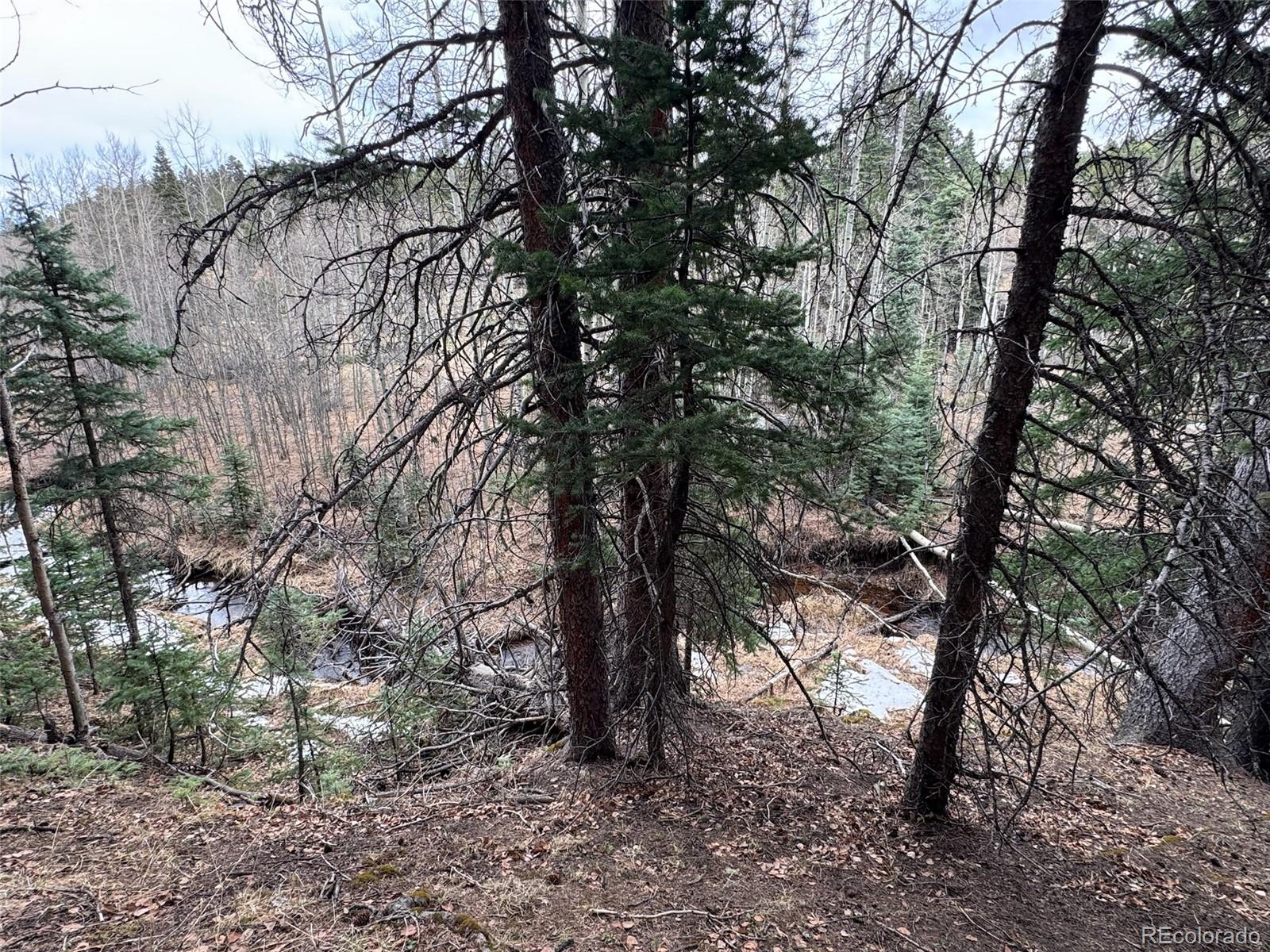 132 Aspen Acres Rye CO 81252