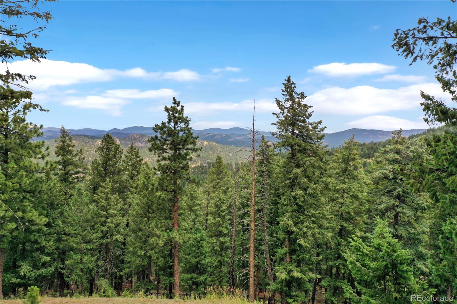 26367 Bell Park Drive Evergreen CO 80439