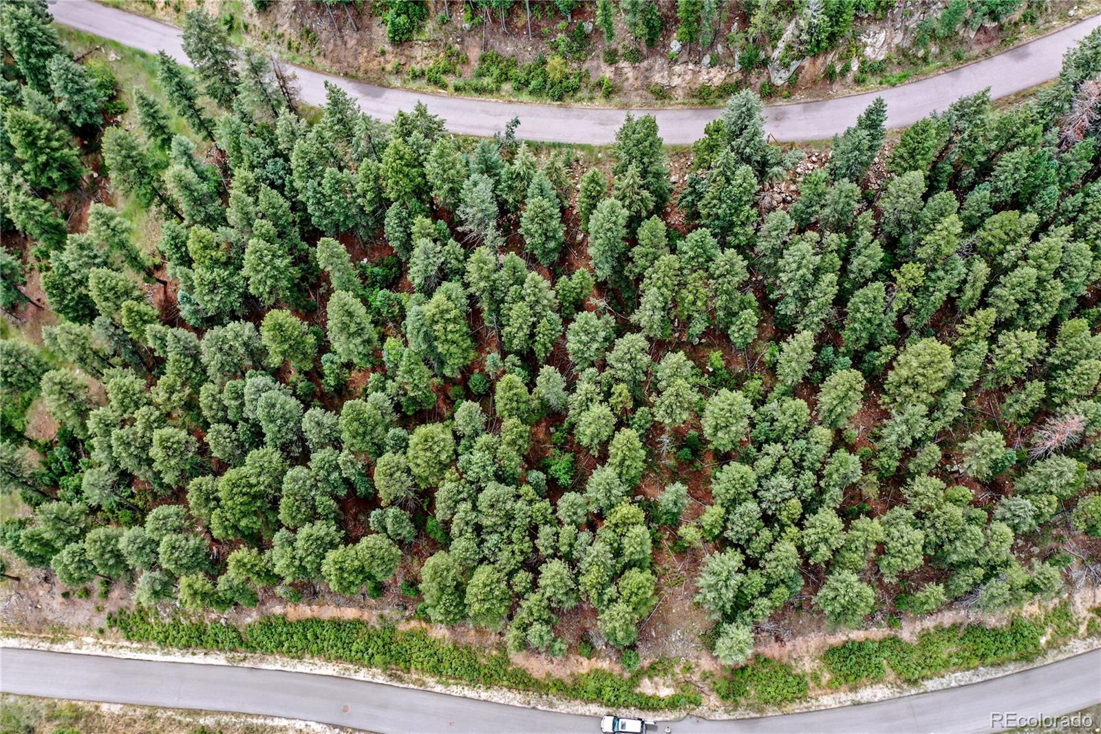 26367 Bell Park Drive Evergreen CO 80439