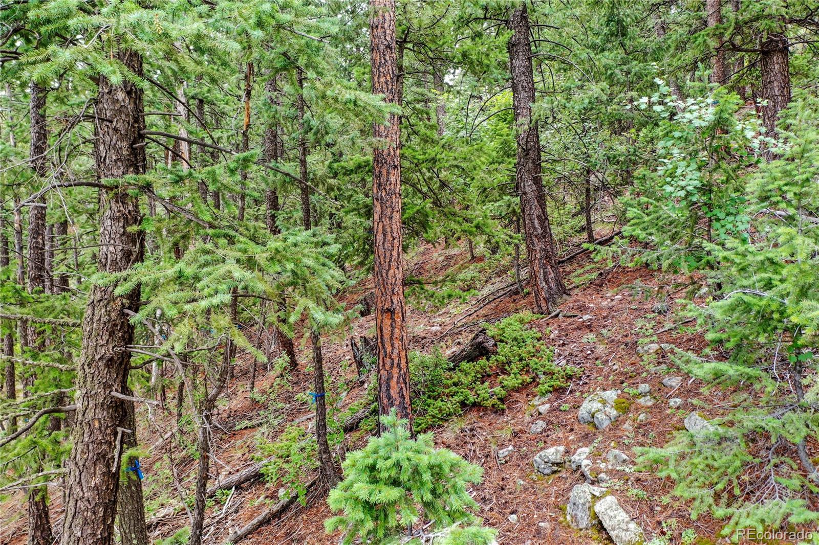 26367 Bell Park Drive Evergreen CO 80439