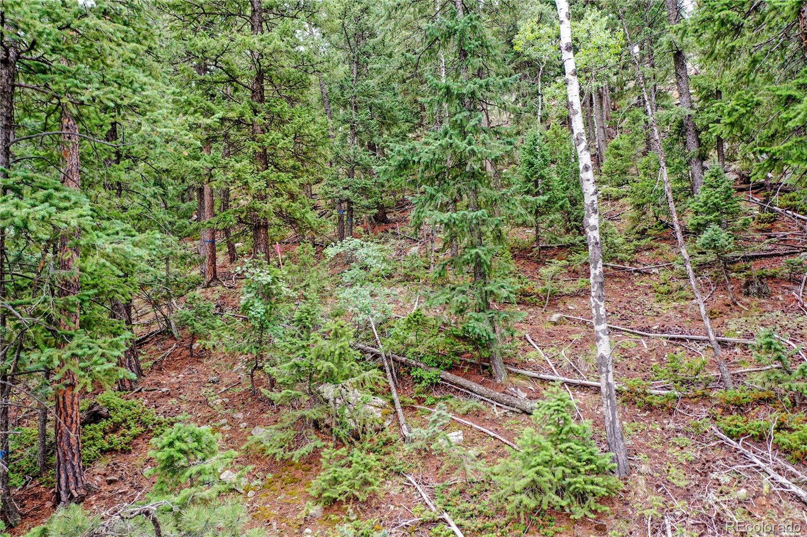 26367 Bell Park Drive Evergreen CO 80439