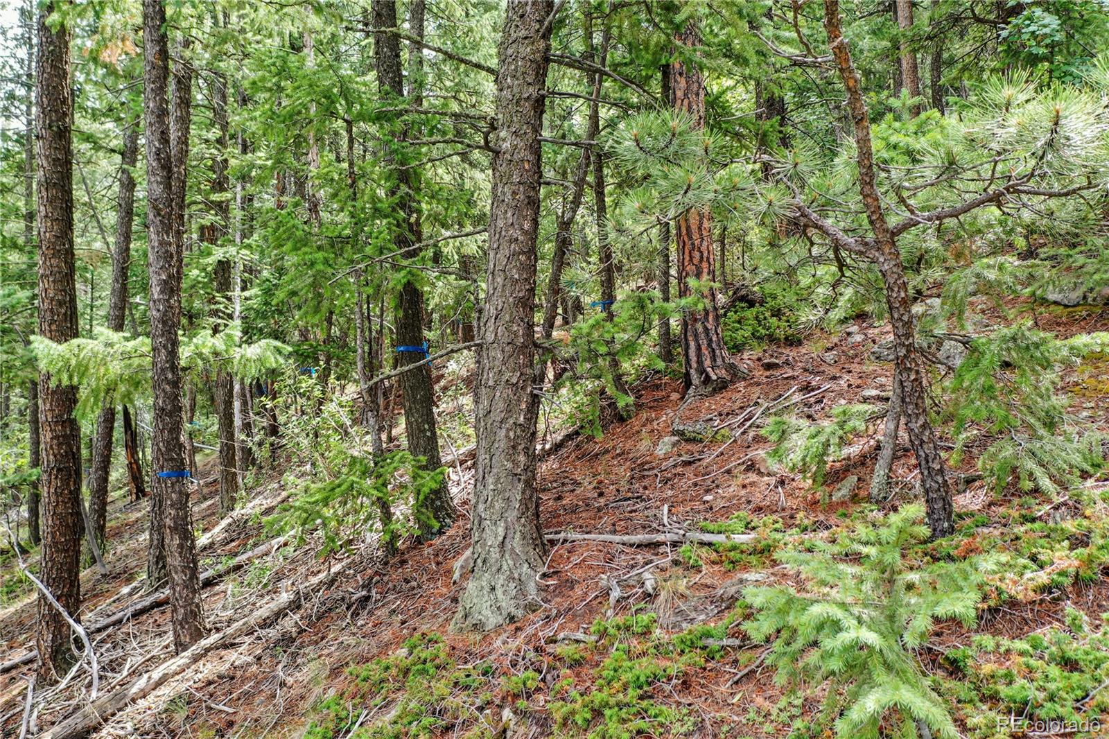 26367 Bell Park Drive Evergreen CO 80439