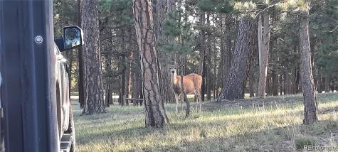 13395 Frank Road Colorado Springs CO 80908