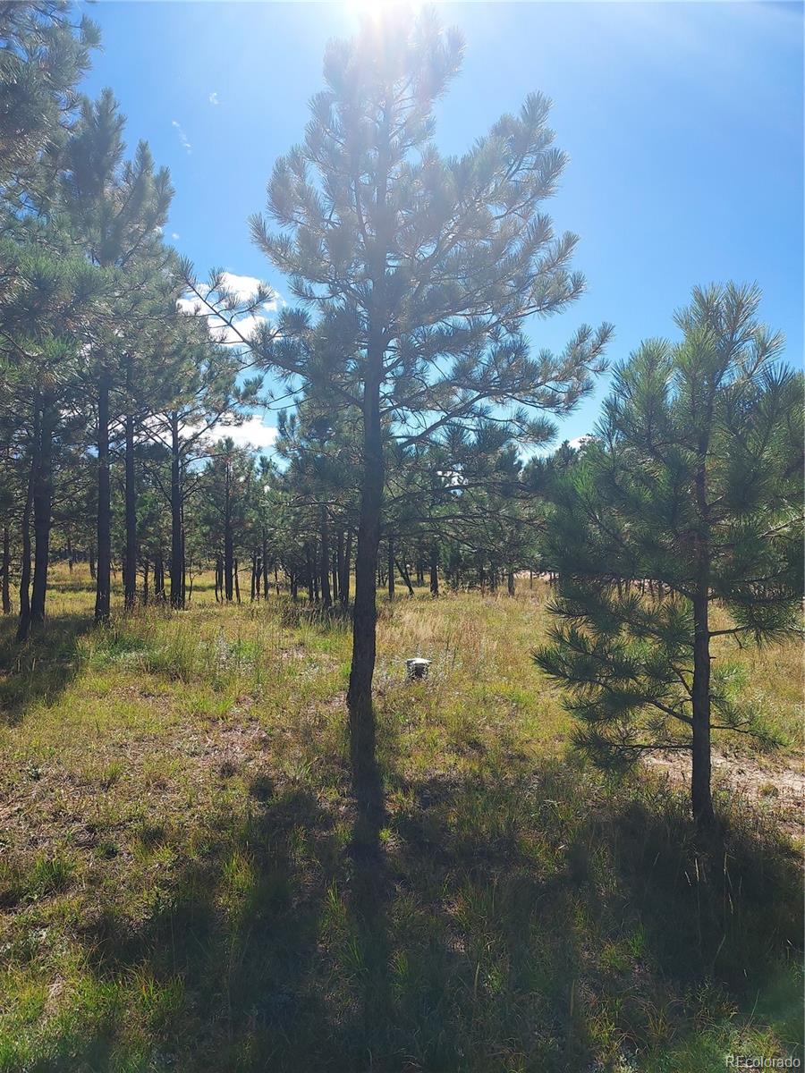 13395 Frank Road Colorado Springs CO 80908