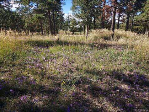 13395 Frank Road Colorado Springs CO 80908