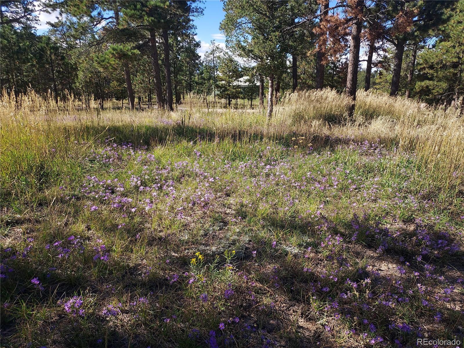 13395 Frank Road Colorado Springs CO 80908