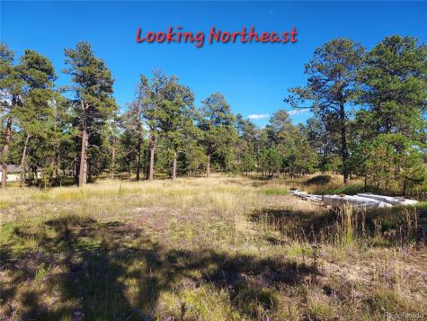 13395 Frank Road Colorado Springs CO 80908