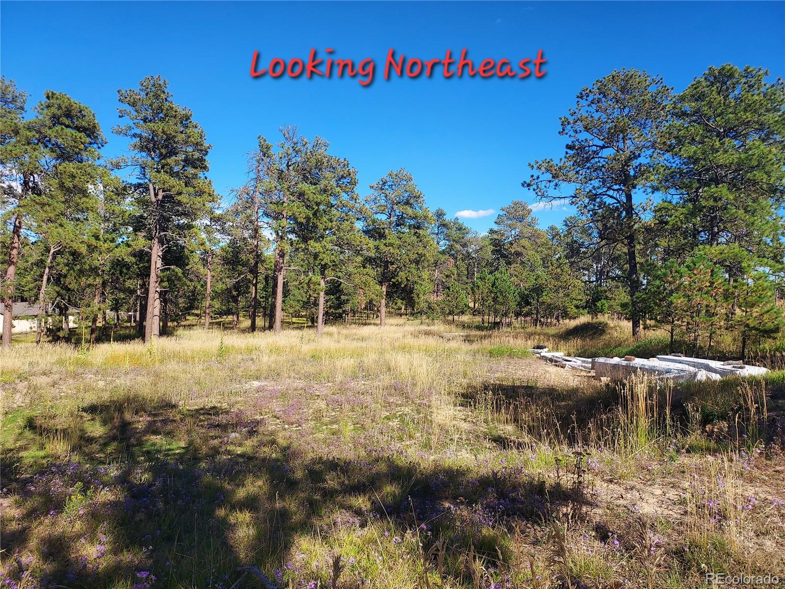 13395 Frank Road Colorado Springs CO 80908