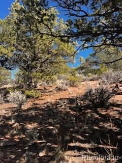 Lot 4360 Mahoney Road San Luis CO 81152