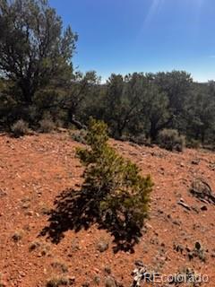 Lot 4360 Mahoney Road San Luis CO 81152