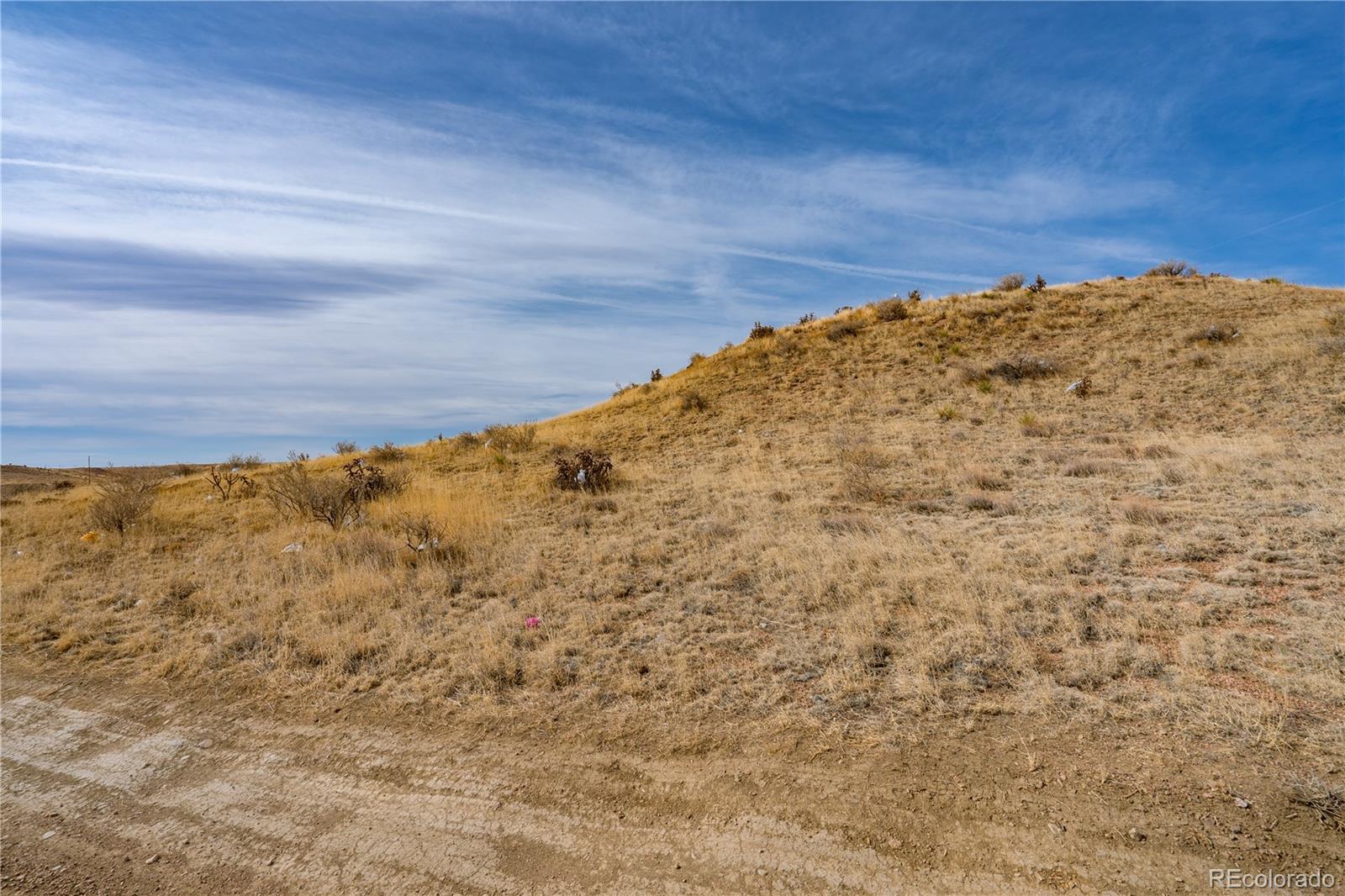 5975 Rattlesnake Point Fountain CO 80817