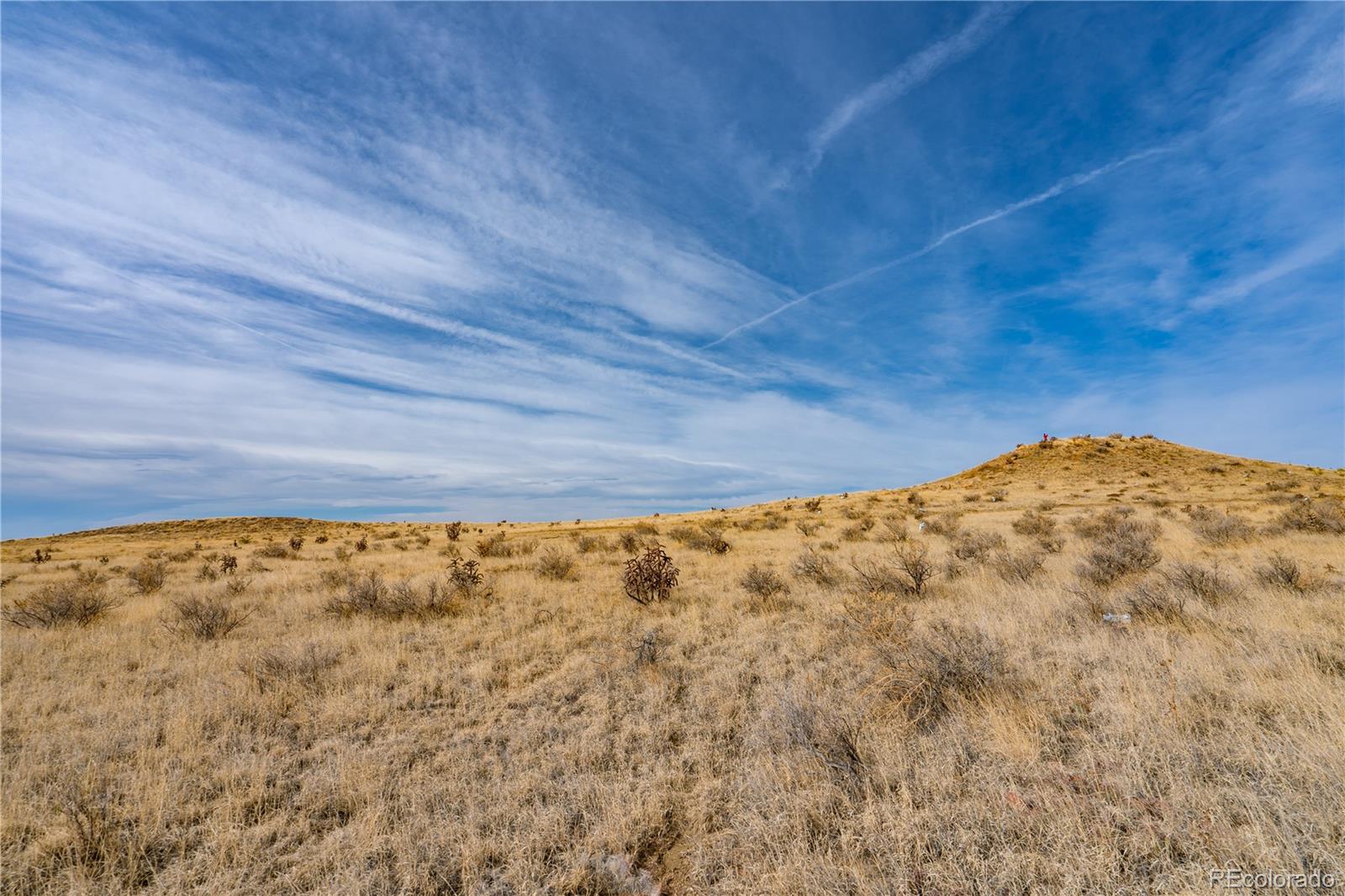 5975 Rattlesnake Point Fountain CO 80817
