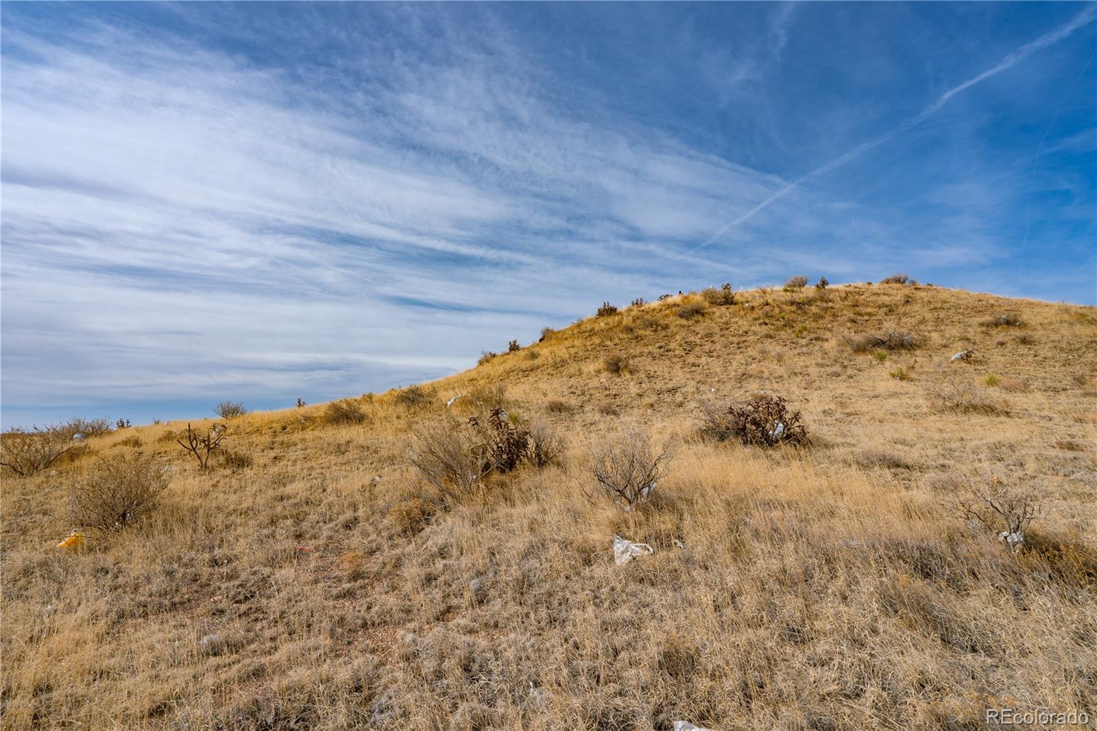 5975 Rattlesnake Point Fountain CO 80817