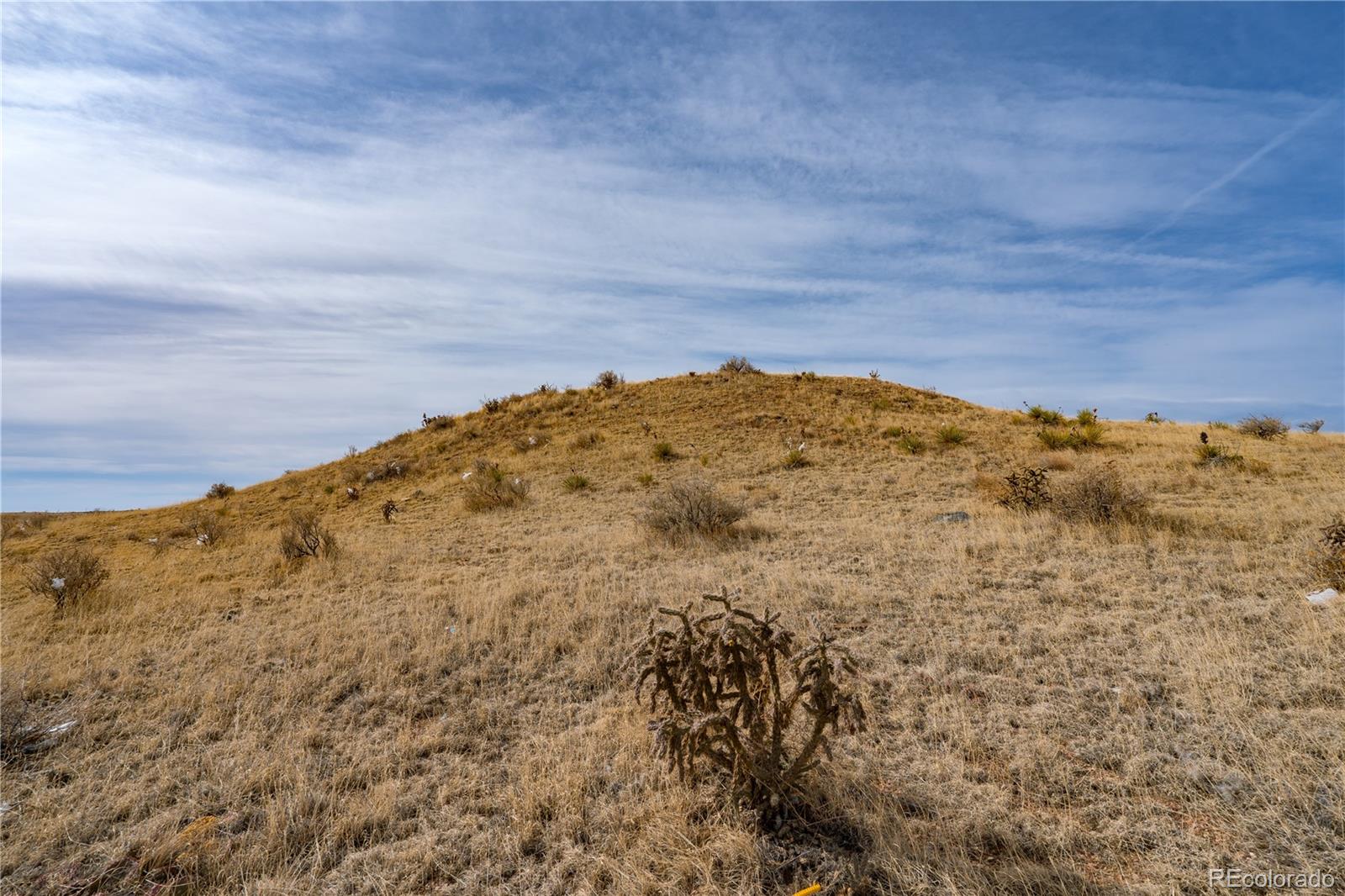 5975 Rattlesnake Point Fountain CO 80817