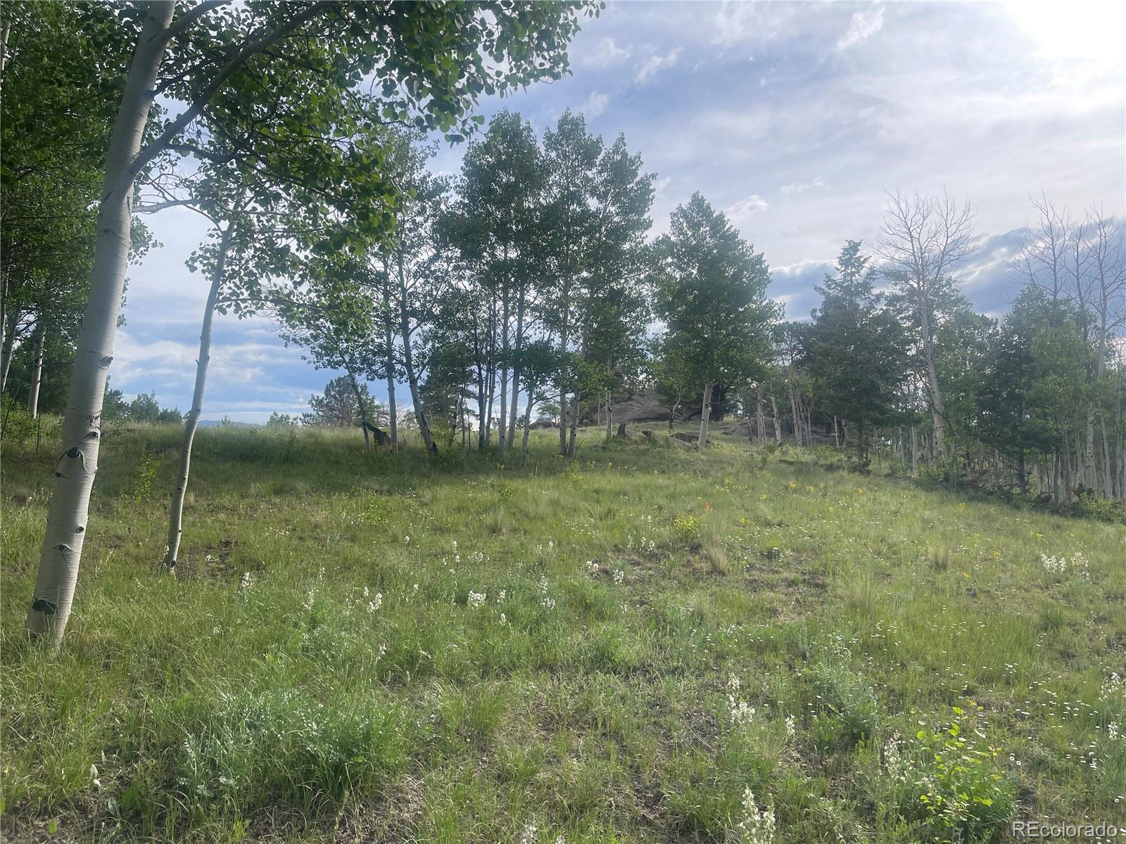171 Emerald Way Lake George CO 80827