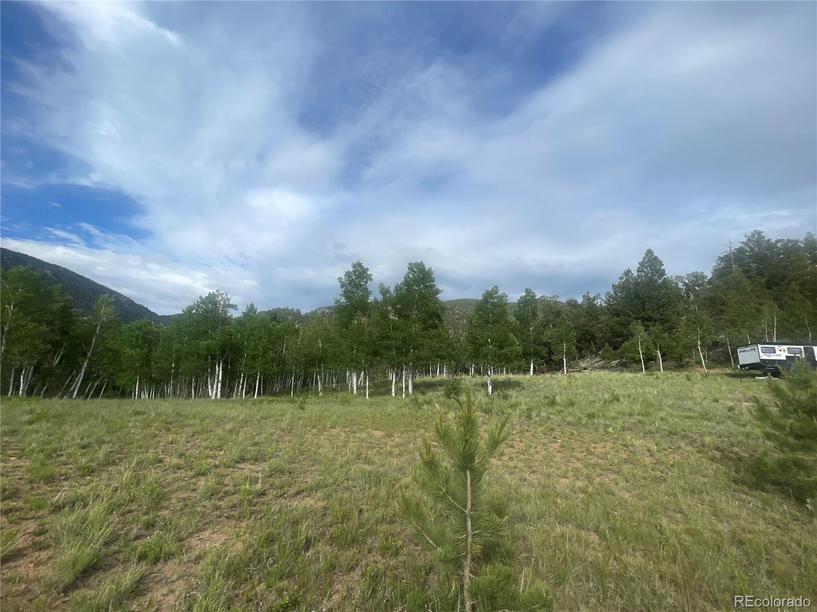 171 Emerald Way Lake George CO 80827