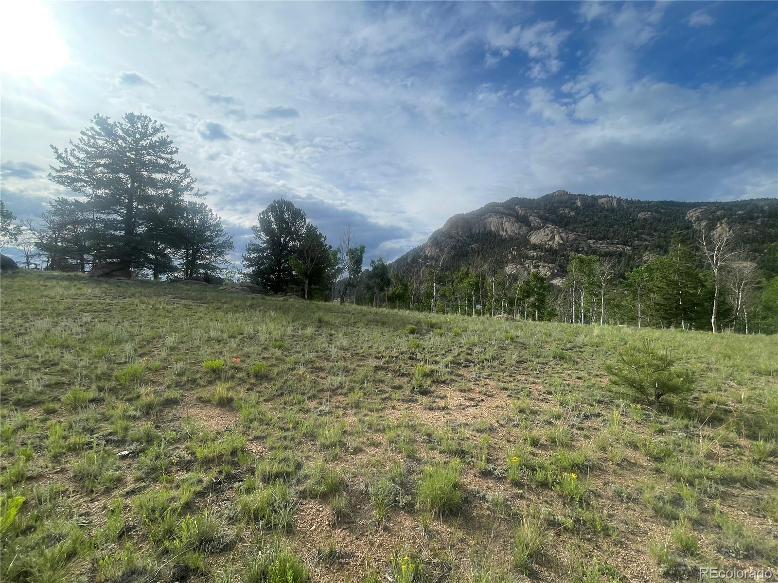 171 Emerald Way Lake George CO 80827
