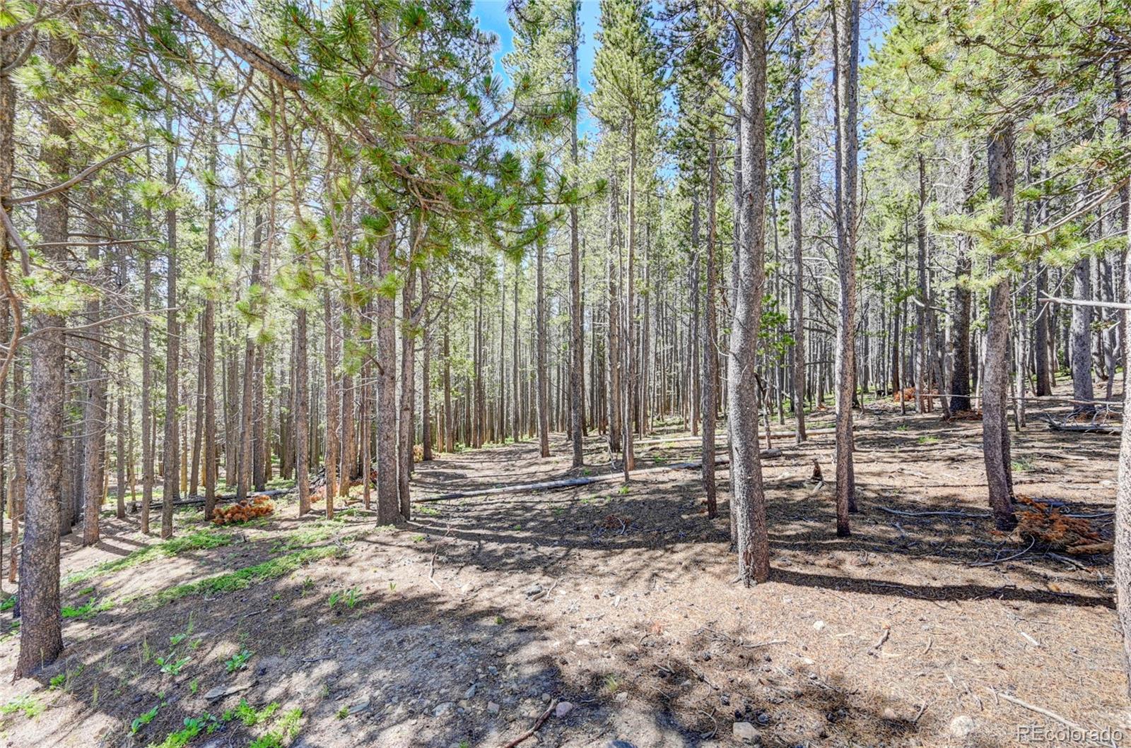 Lot 172 Lower Forest Road Idaho Springs CO 80452