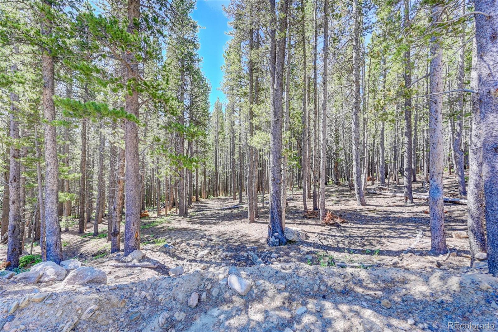 Lot 172 Lower Forest Road Idaho Springs CO 80452