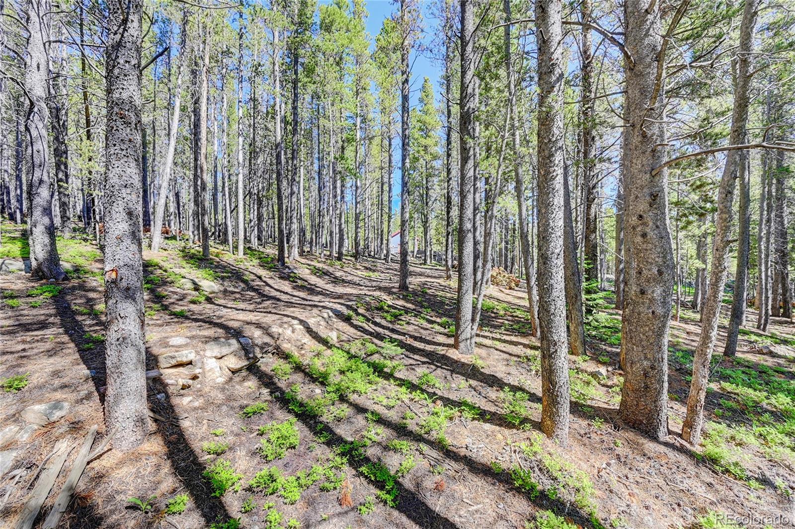 Lot 172 Lower Forest Road Idaho Springs CO 80452