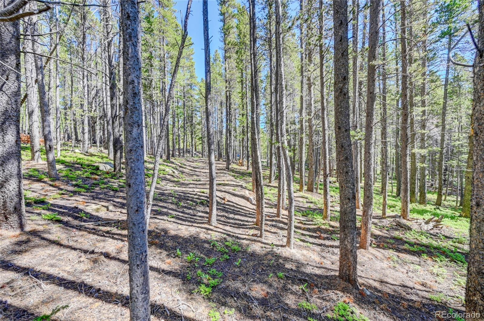 Lot 172 Lower Forest Road Idaho Springs CO 80452