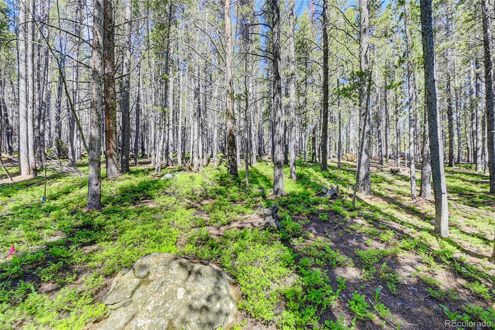 Lot 172 Lower Forest Road Idaho Springs CO 80452