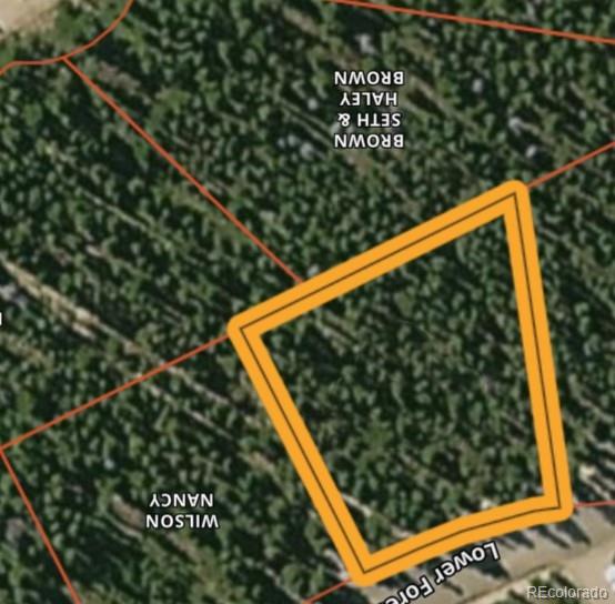 Lot 172 Lower Forest Road Idaho Springs CO 80452