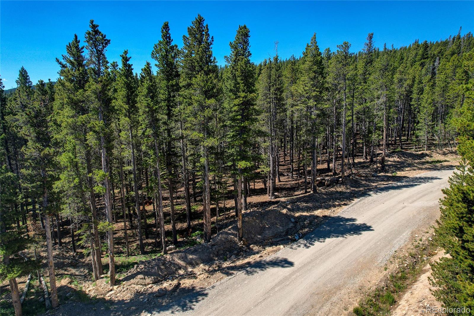 Lot 172 Lower Forest Road Idaho Springs CO 80452
