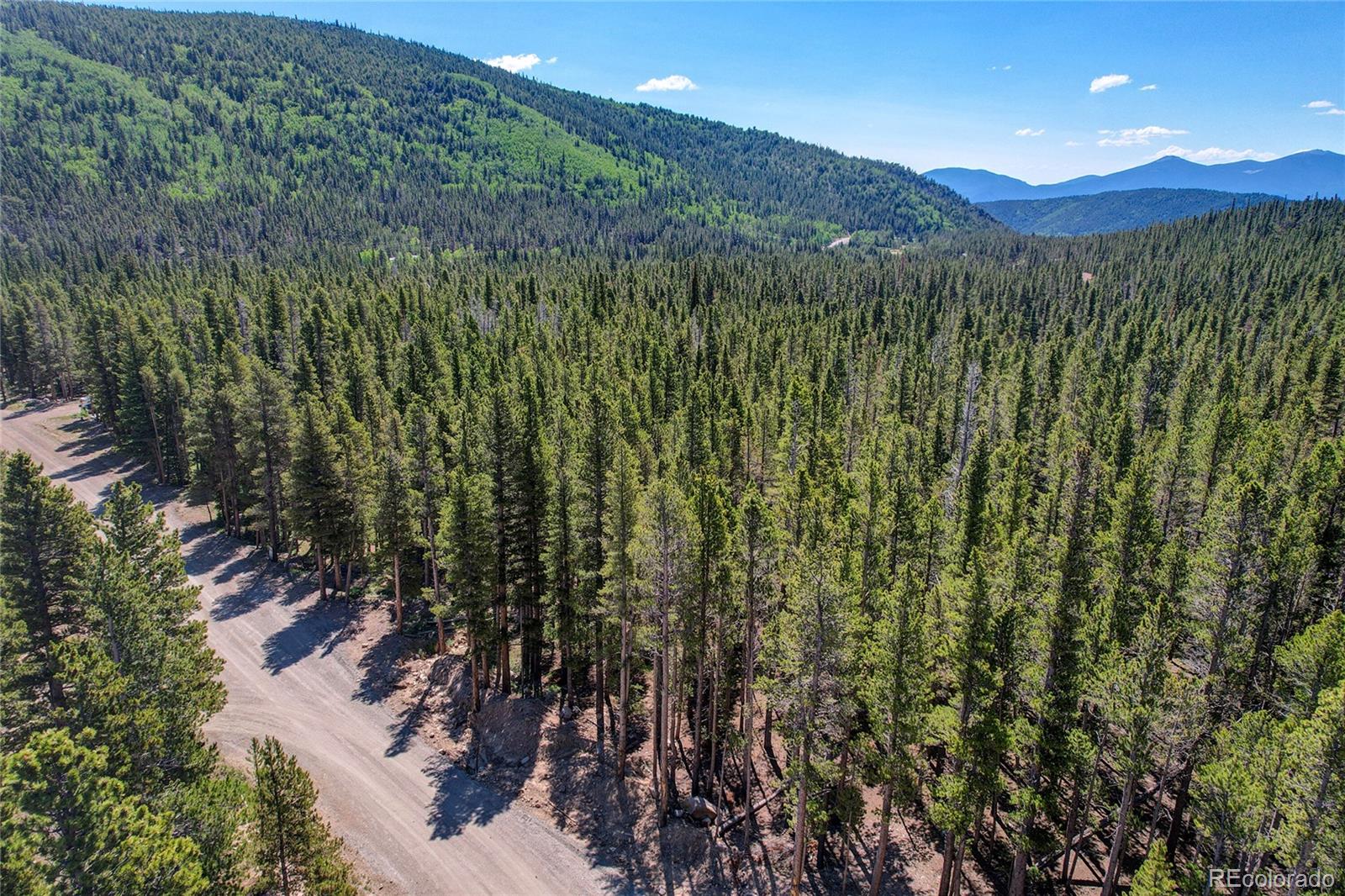 Lot 172 Lower Forest Road Idaho Springs CO 80452