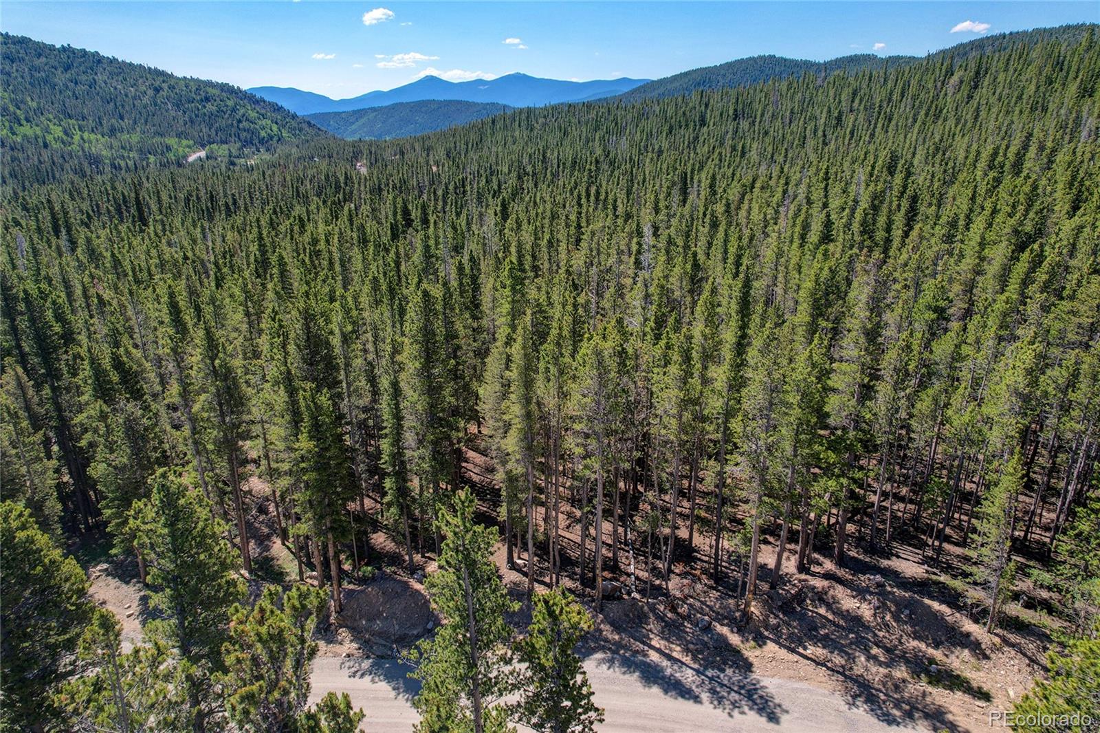 Lot 172 Lower Forest Road Idaho Springs CO 80452