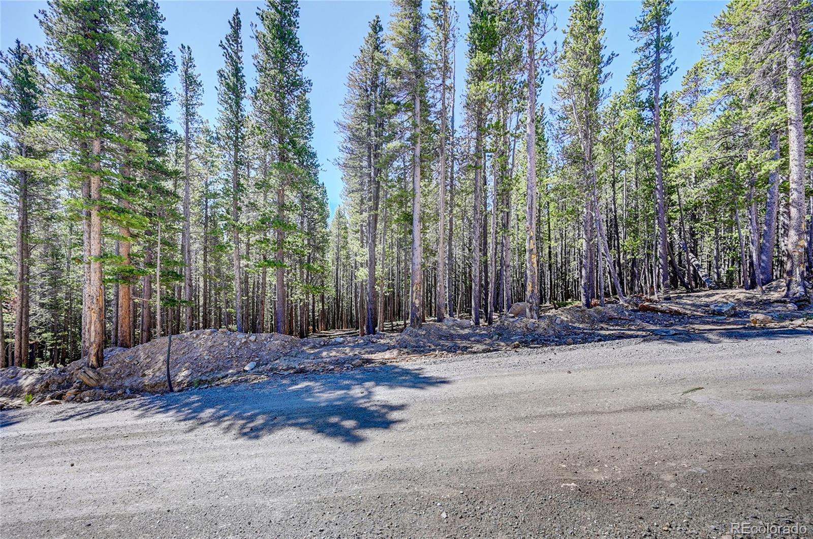 Lot 172 Lower Forest Road Idaho Springs CO 80452