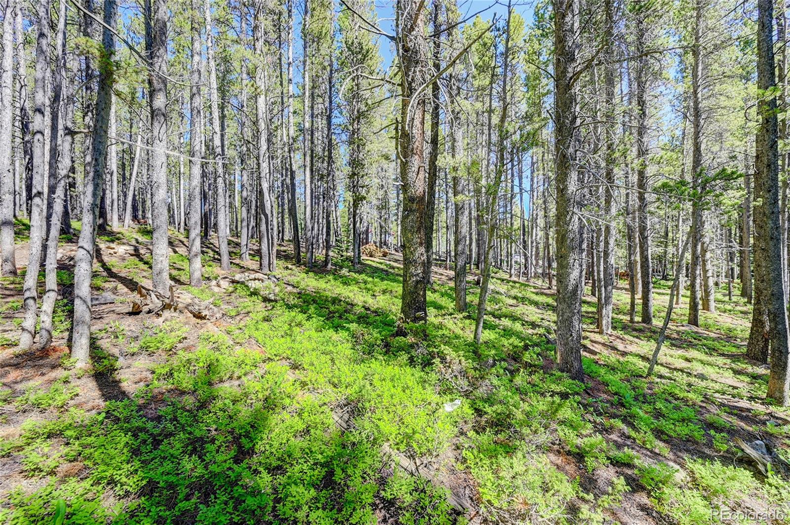 Lot 172 Lower Forest Road Idaho Springs CO 80452