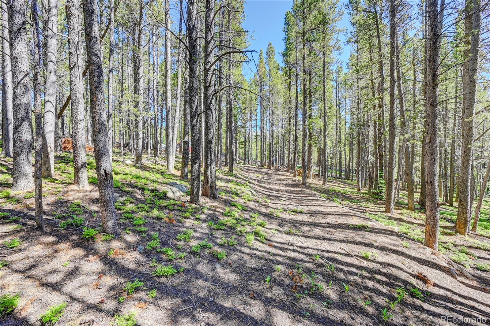 Lot 172 Lower Forest Road Idaho Springs CO 80452