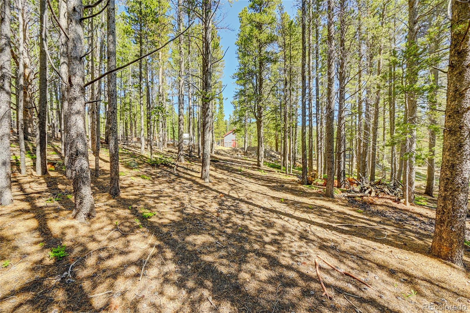 Lot 172 Lower Forest Road Idaho Springs CO 80452