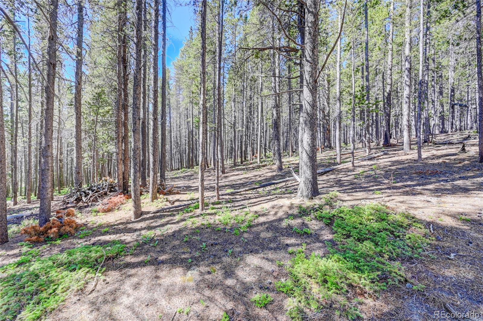 Lot 172 Lower Forest Road Idaho Springs CO 80452