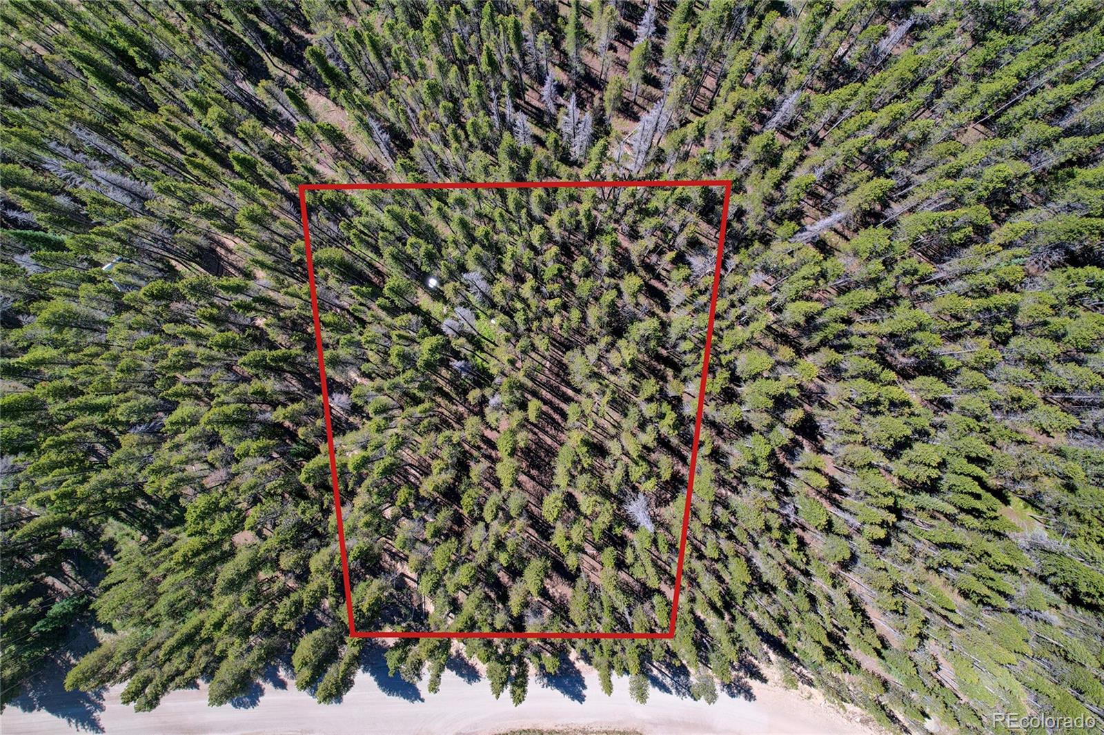 Lot 172 Lower Forest Road Idaho Springs CO 80452