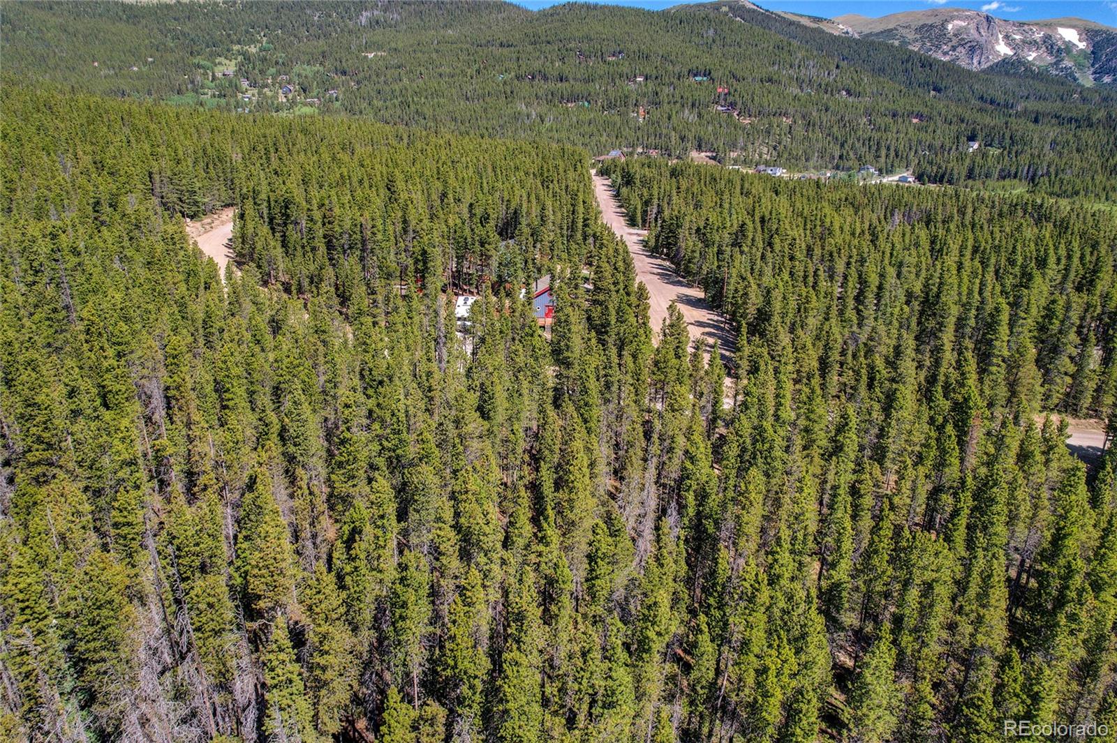 Lot 172 Lower Forest Road Idaho Springs CO 80452