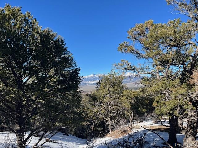 Lot 7898 Tiernan Road Fort Garland CO 81133