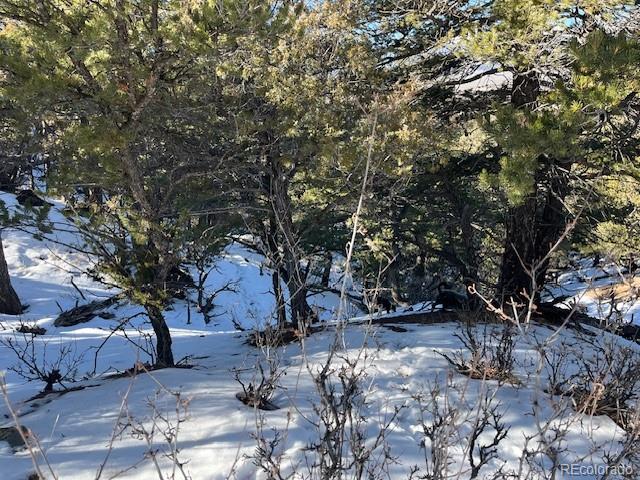 Lot 7898 Tiernan Road Fort Garland CO 81133