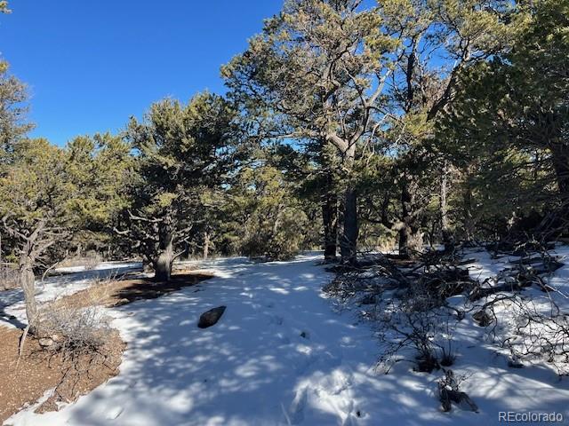 Lot 7898 Tiernan Road Fort Garland CO 81133