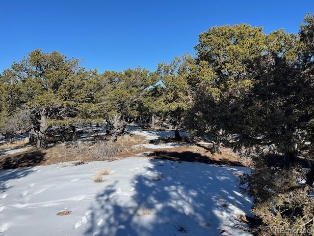 Lot 7898 Tiernan Road Fort Garland CO 81133