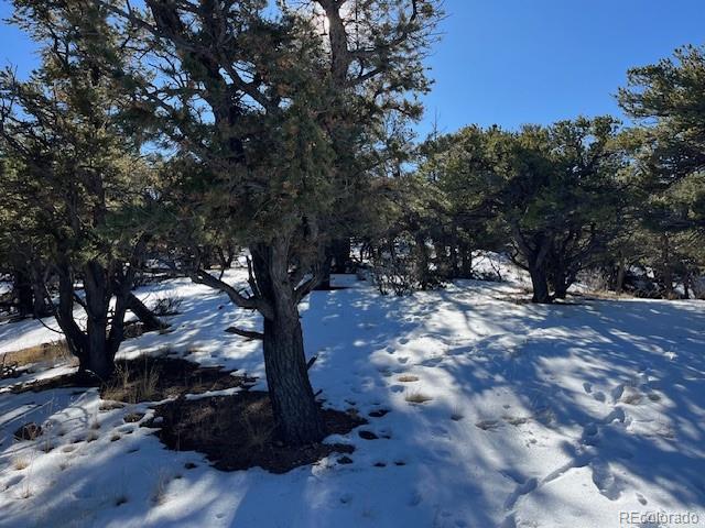 Lot 7898 Tiernan Road Fort Garland CO 81133