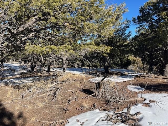 Lot 7898 Tiernan Road Fort Garland CO 81133