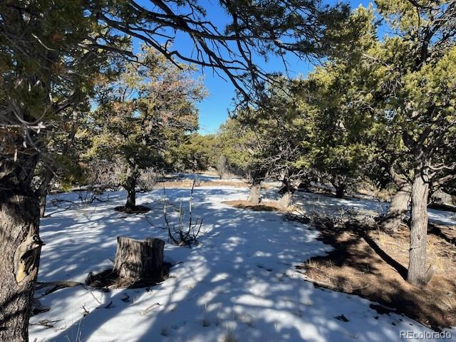 Lot 7898 Tiernan Road Fort Garland CO 81133