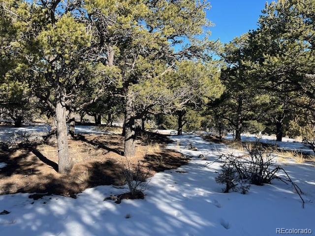 Lot 7898 Tiernan Road Fort Garland CO 81133