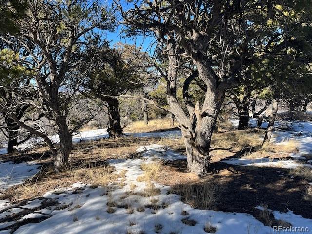 Lot 7898 Tiernan Road Fort Garland CO 81133